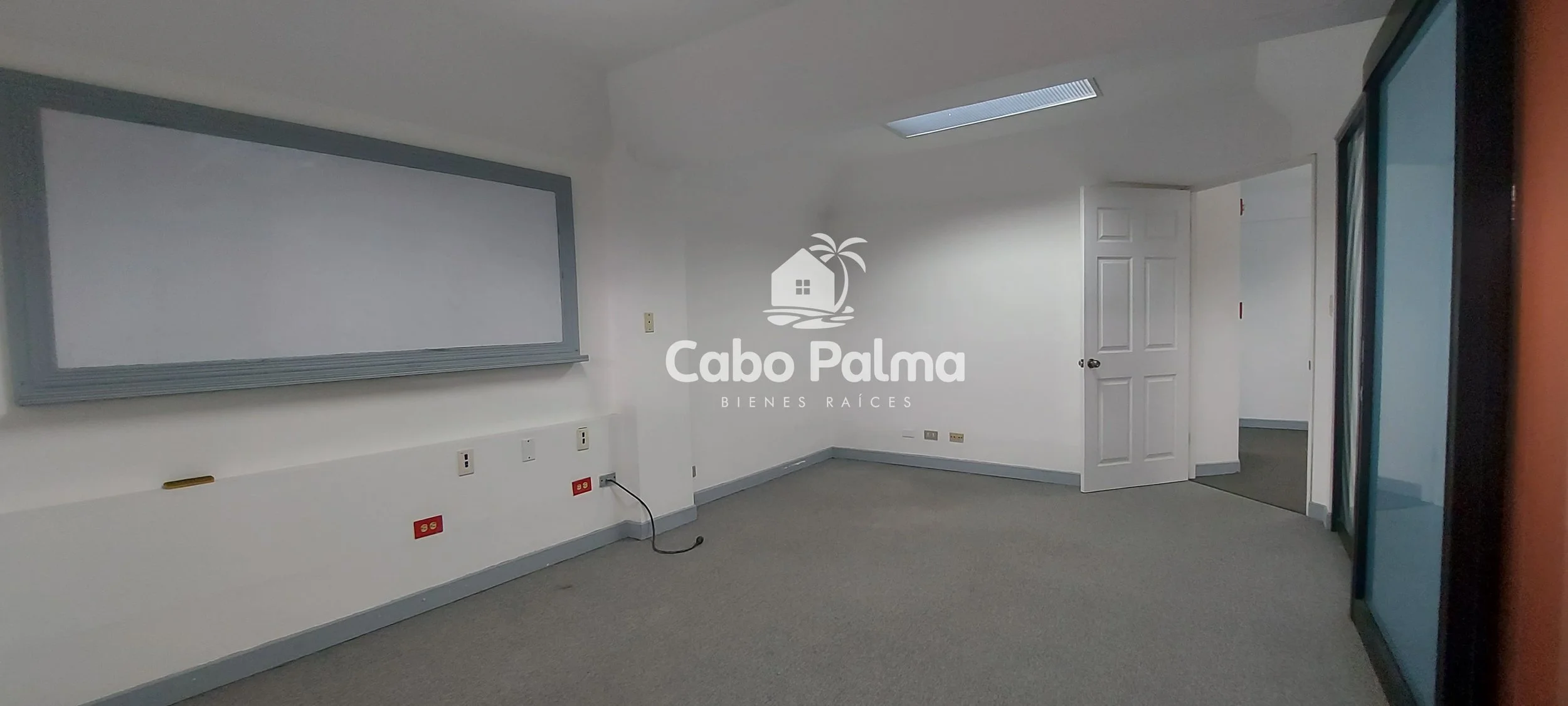 20250624_095641 - copia.jpg