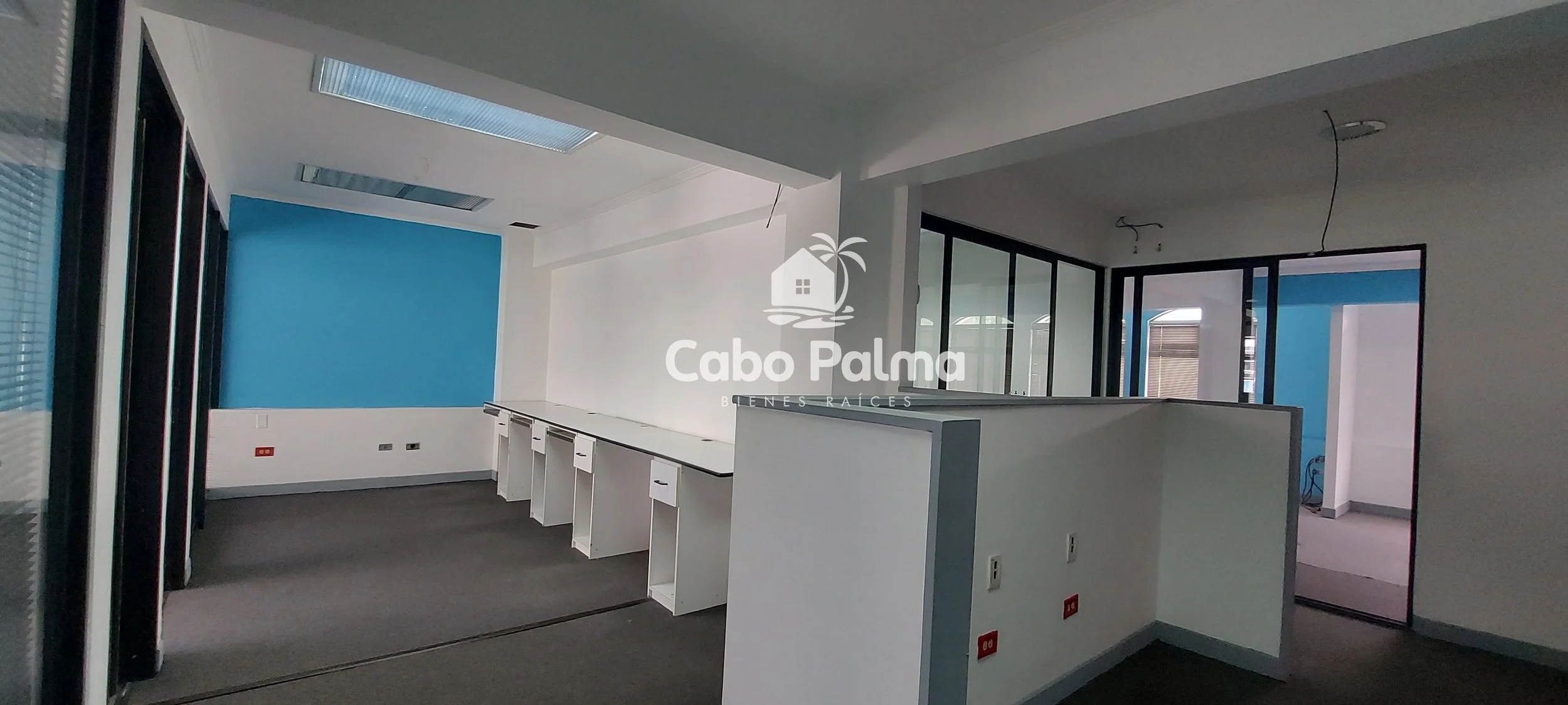 20250624_095853 - copia.jpg