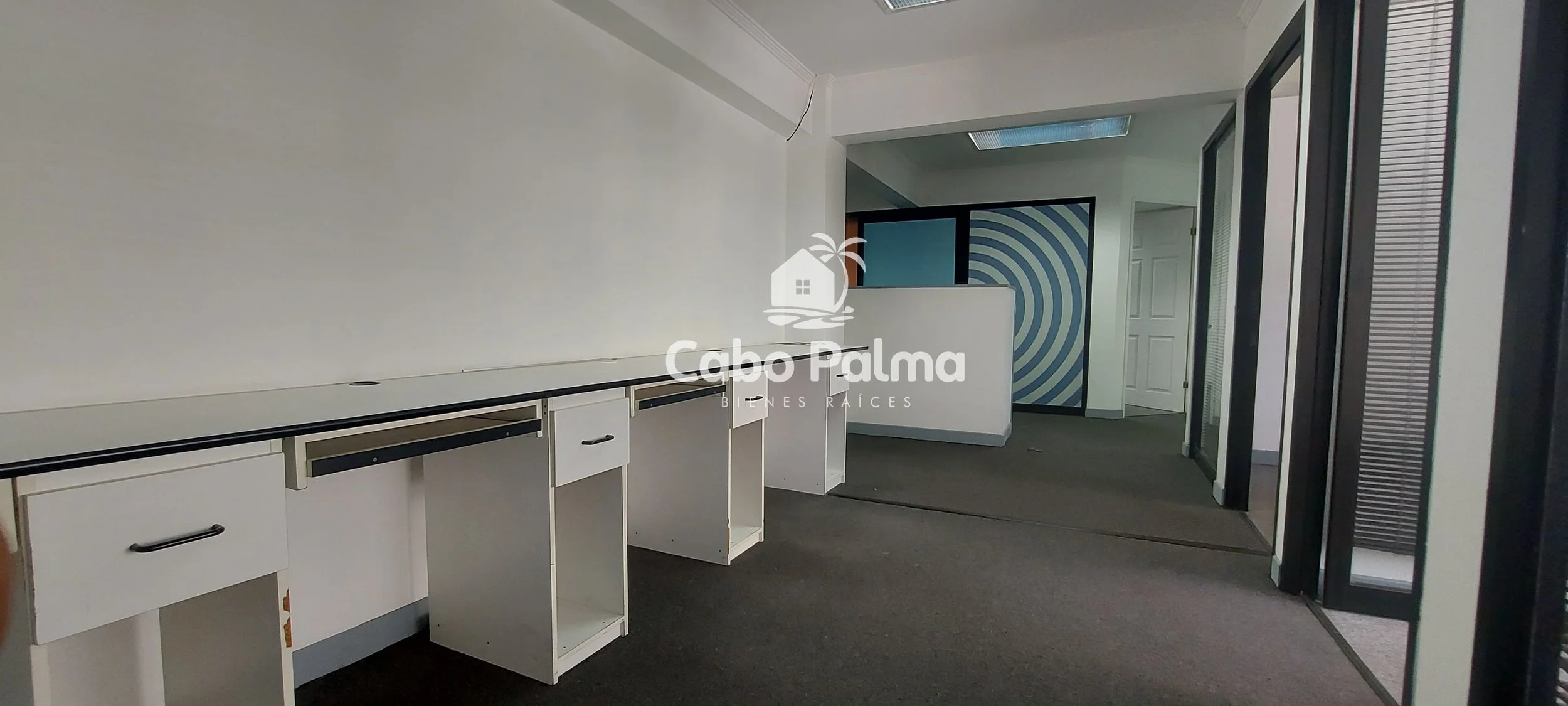 20250624_095912 - copia.jpg