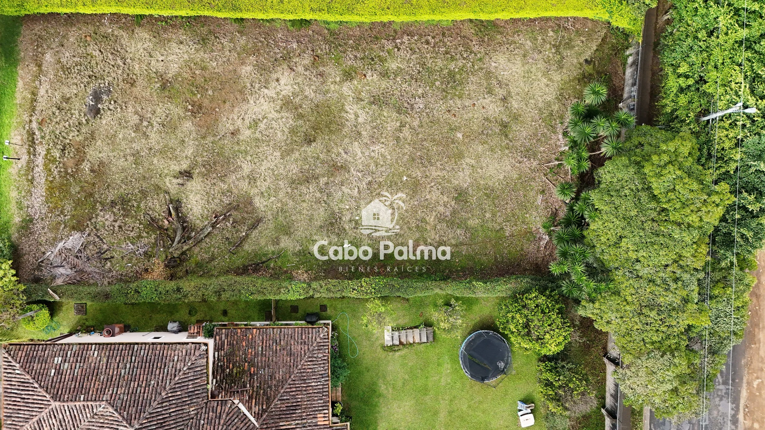 DJI_20241209084238_0024_D.jpg