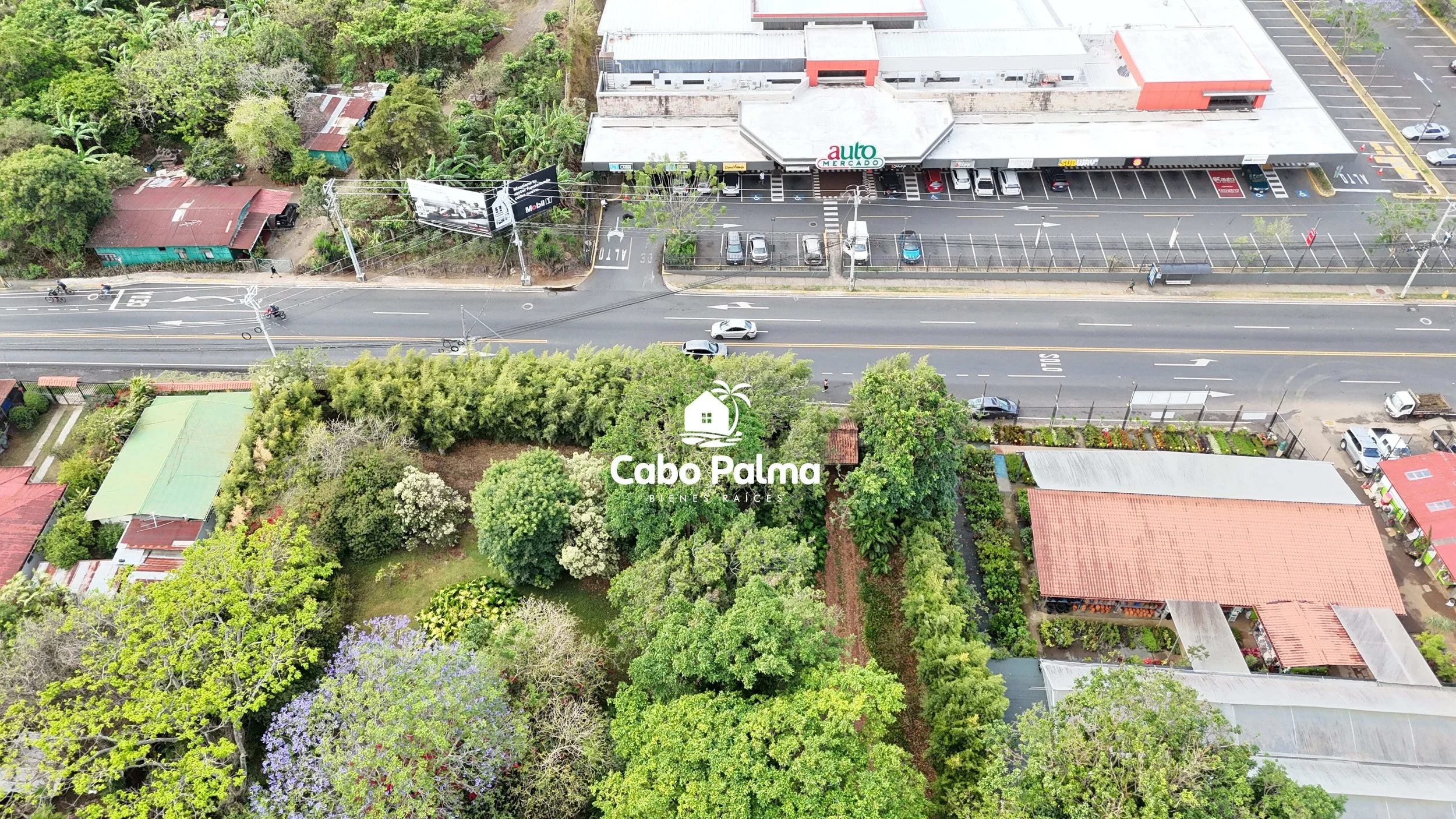 DJI_20260411073346_0005_D.jpg