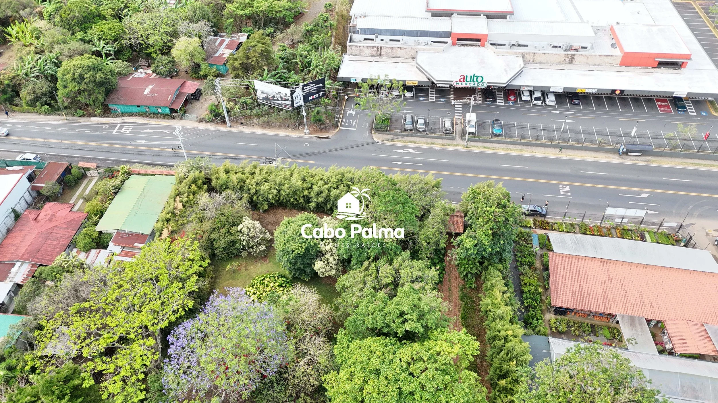 DJI_20260411073353_0006_D.jpg