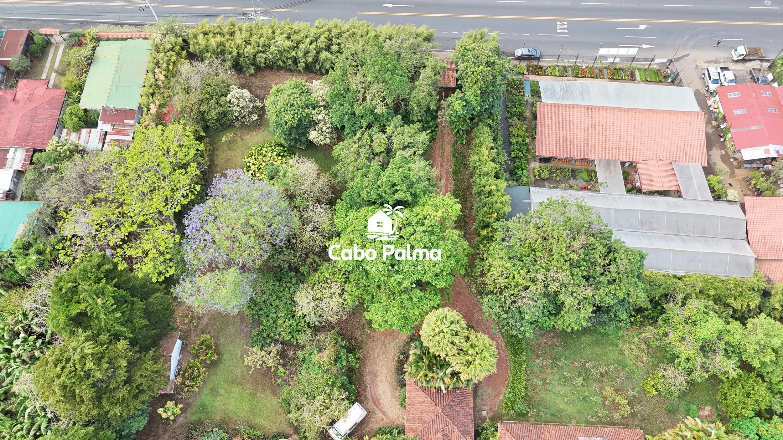 DJI_20260411073406_0007_D.jpg
