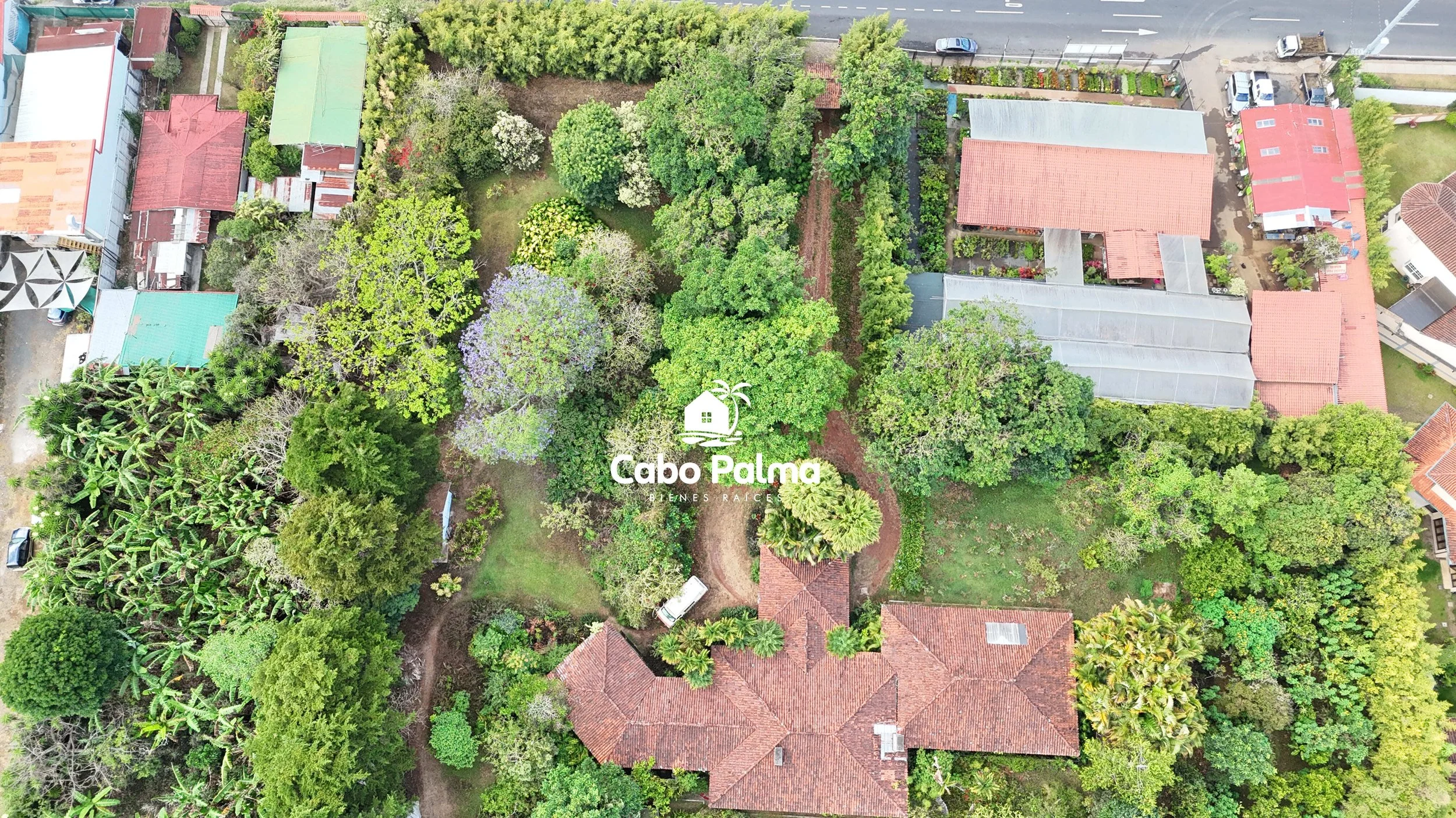 DJI_20260411073417_0008_D.jpg