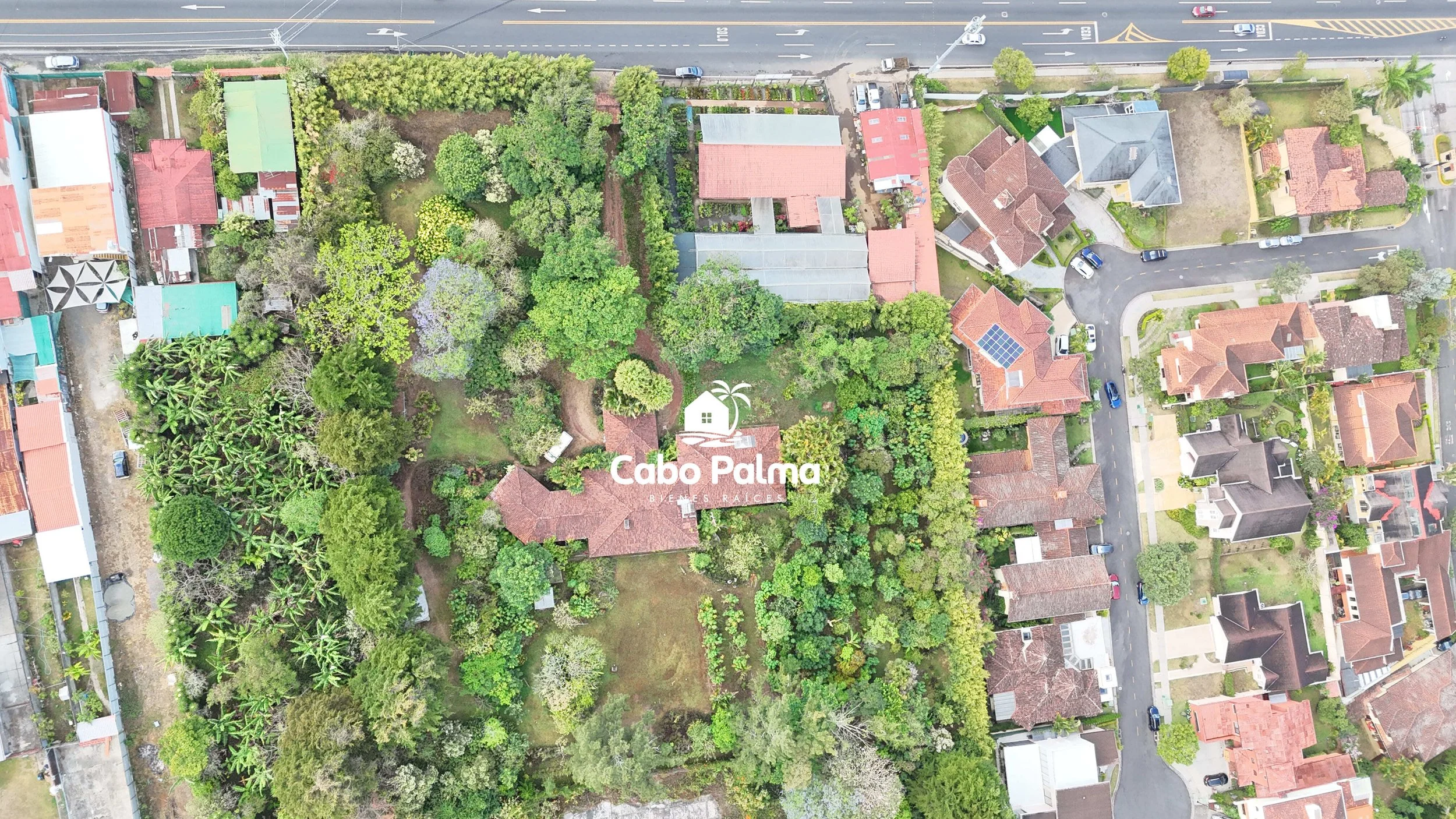DJI_20260411073447_0009_D.jpg