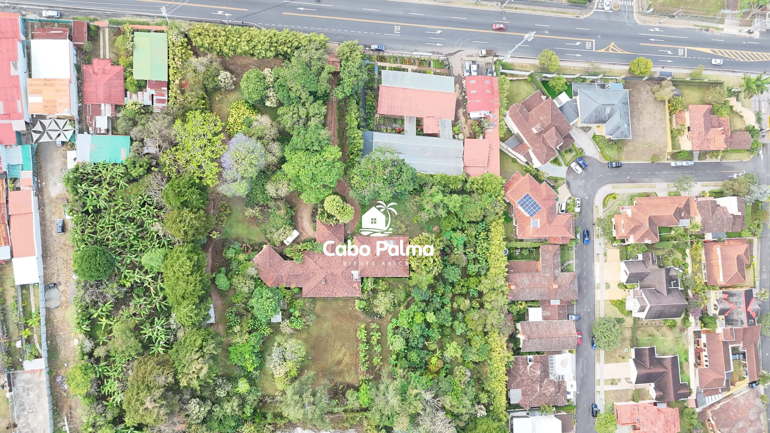 DJI_20260411073452_0010_D.jpg