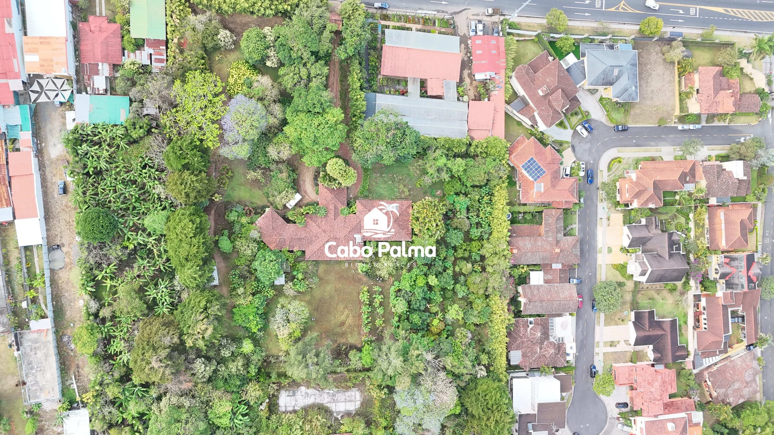 DJI_20260411073458_0012_D.jpg