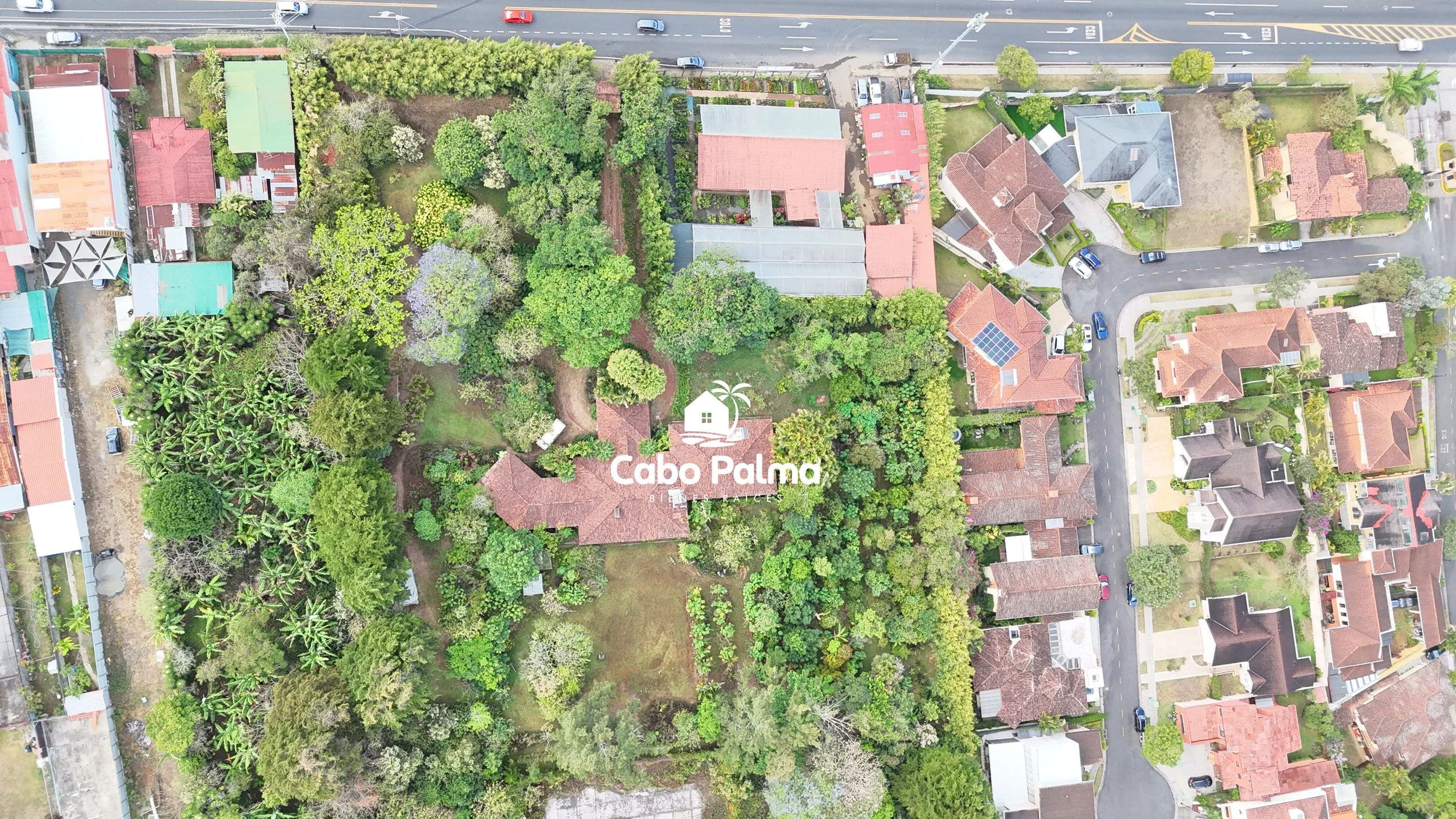 DJI_20260411073503_0013_D.jpg