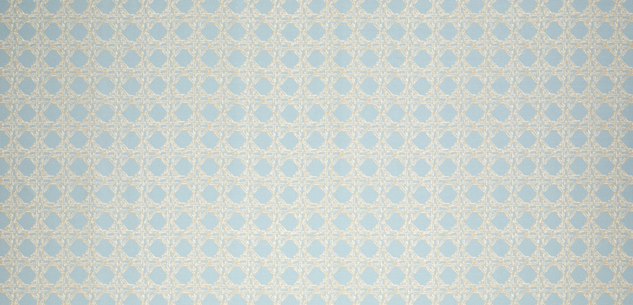 116-10-45-1-3_Fabric_Nevis-Duck-Egg_full.jpg