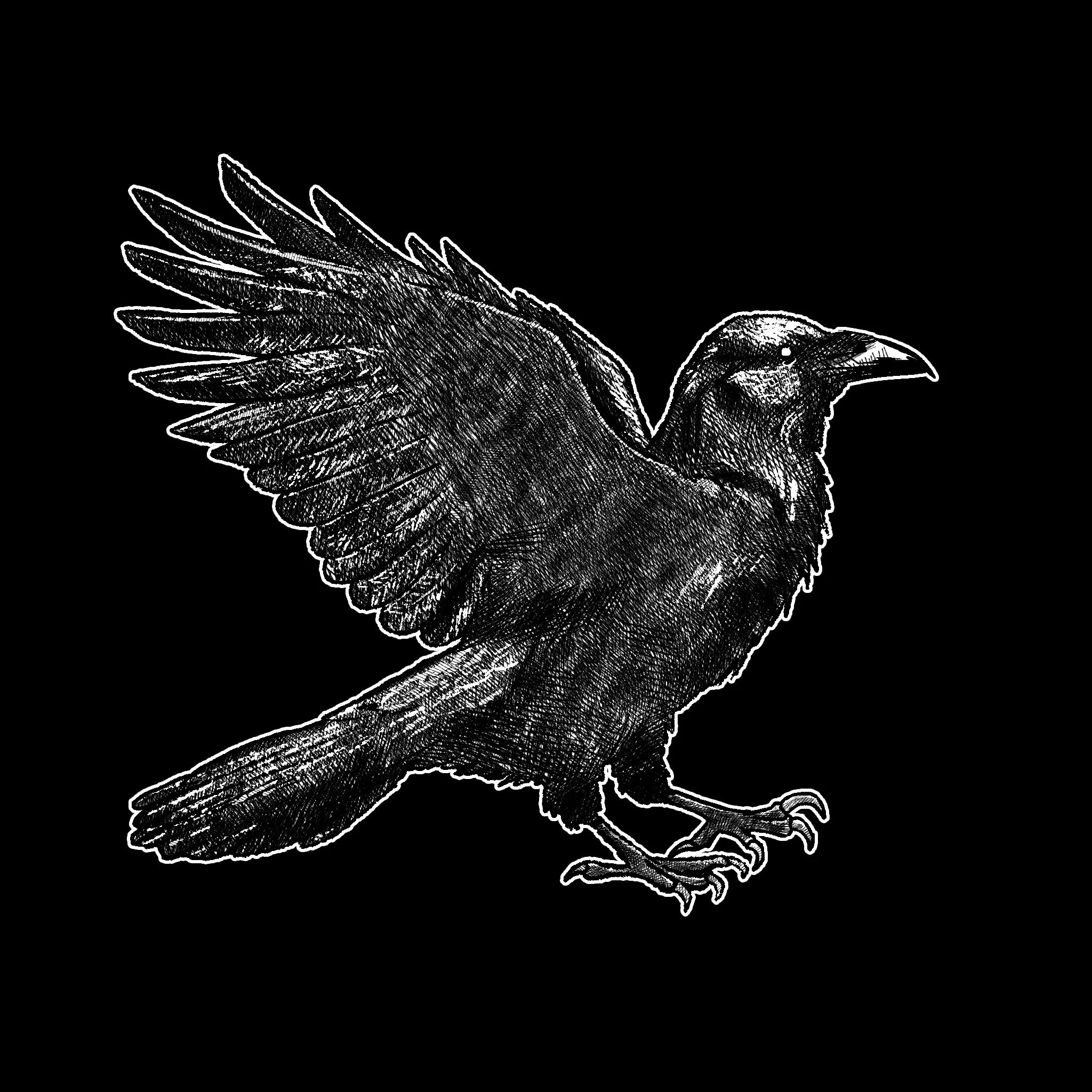 CROW.jpg