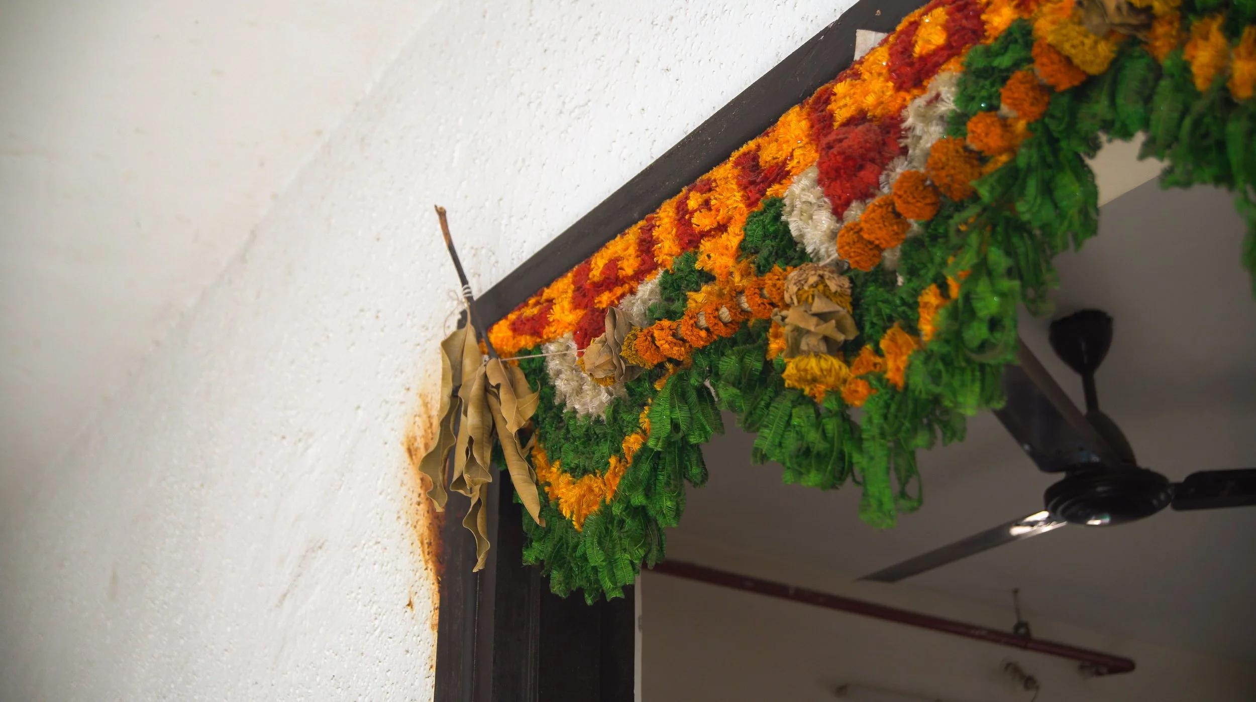 Screenshot 2025-11-01 110141.jpg