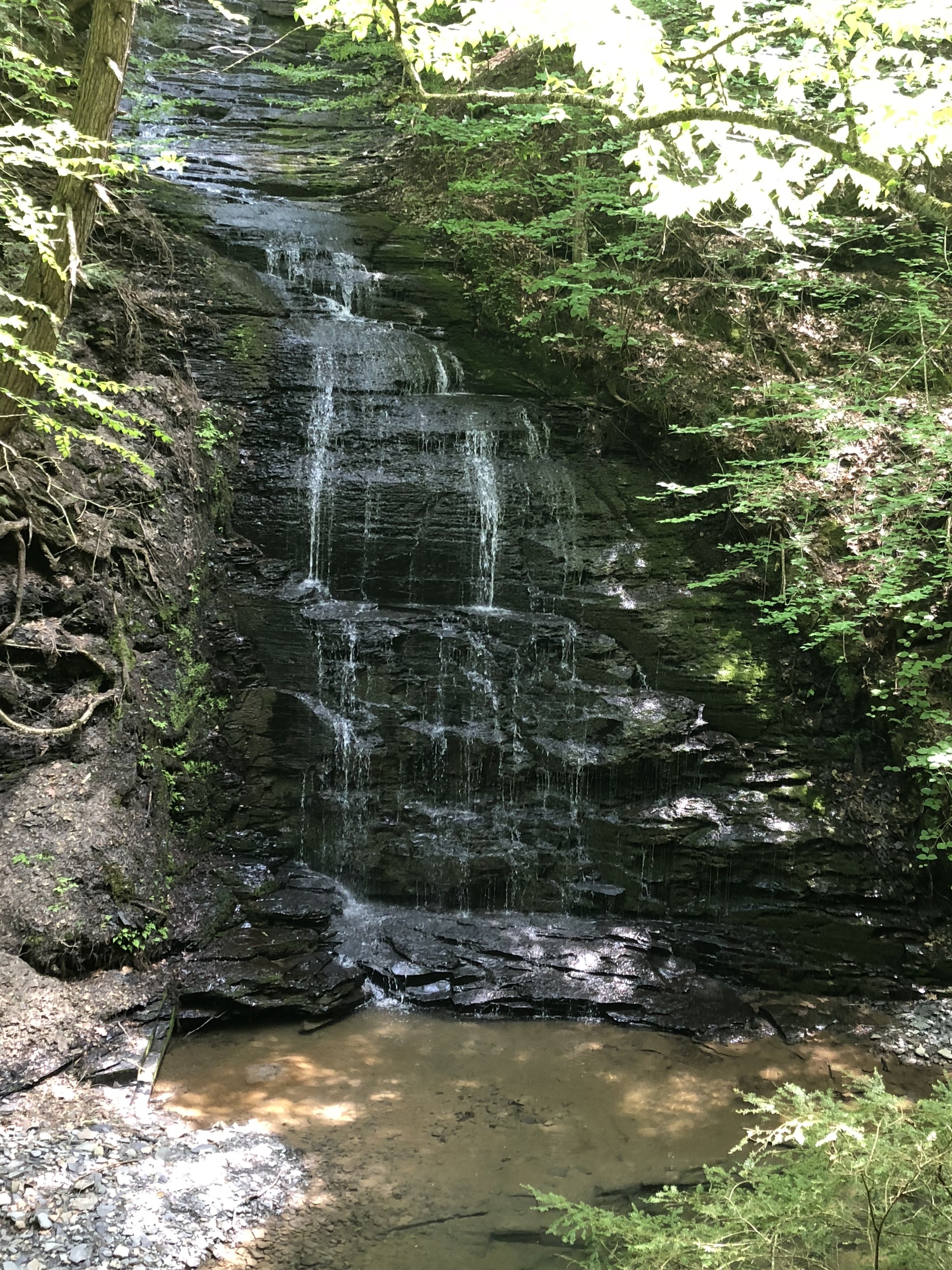 A small waterfall flowing over layered rocks in a forest with green foliage.