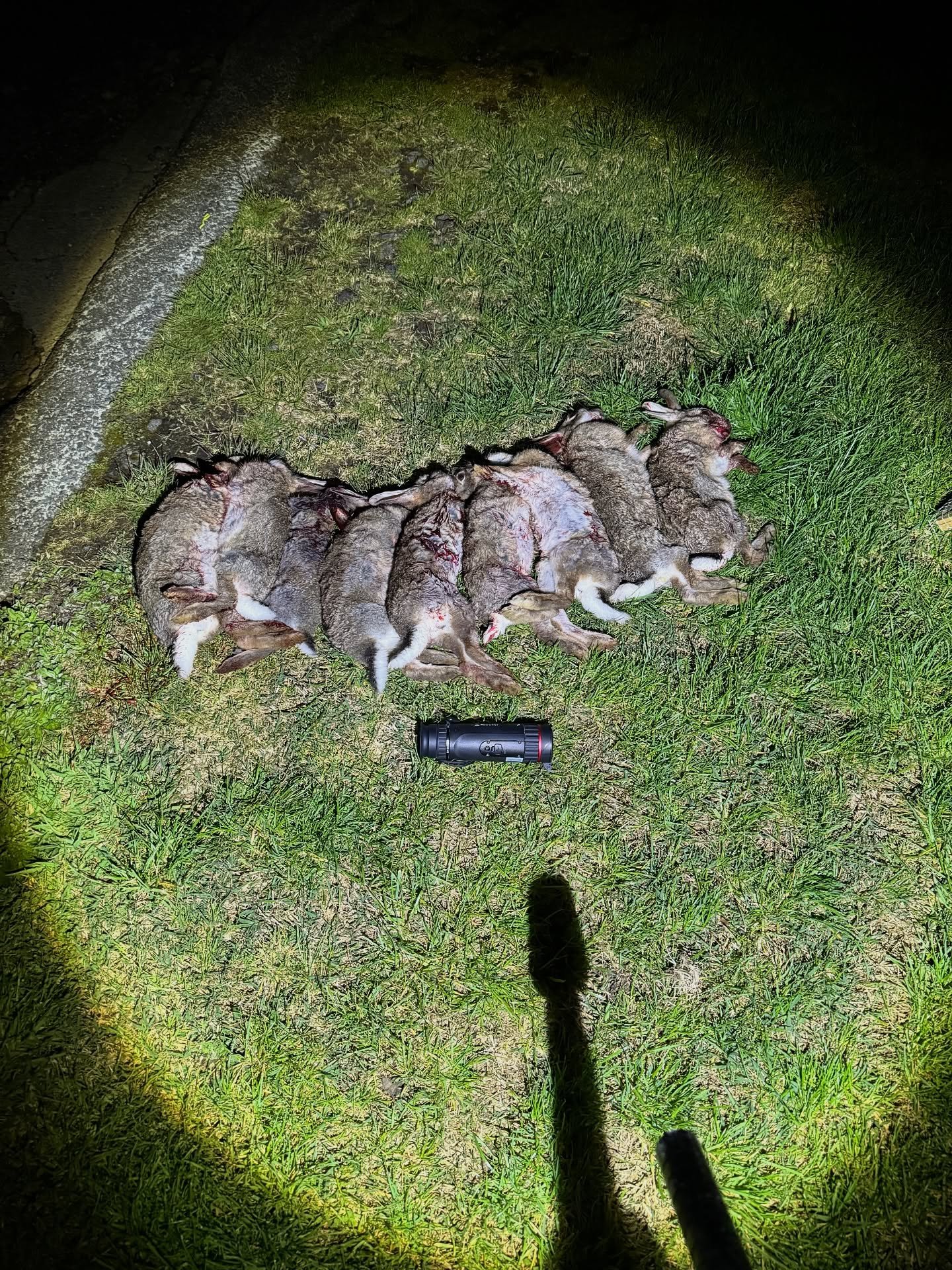 🌿 Introducing TIKA &ndash; Local Pest Management with Purpose

Kia ora everyone! 👋
We&rsquo;re excited to introduce TIKA, a new local service dedicated to helping farmers, lifestyle-block owners, and our wider community tackle pest animals that dam