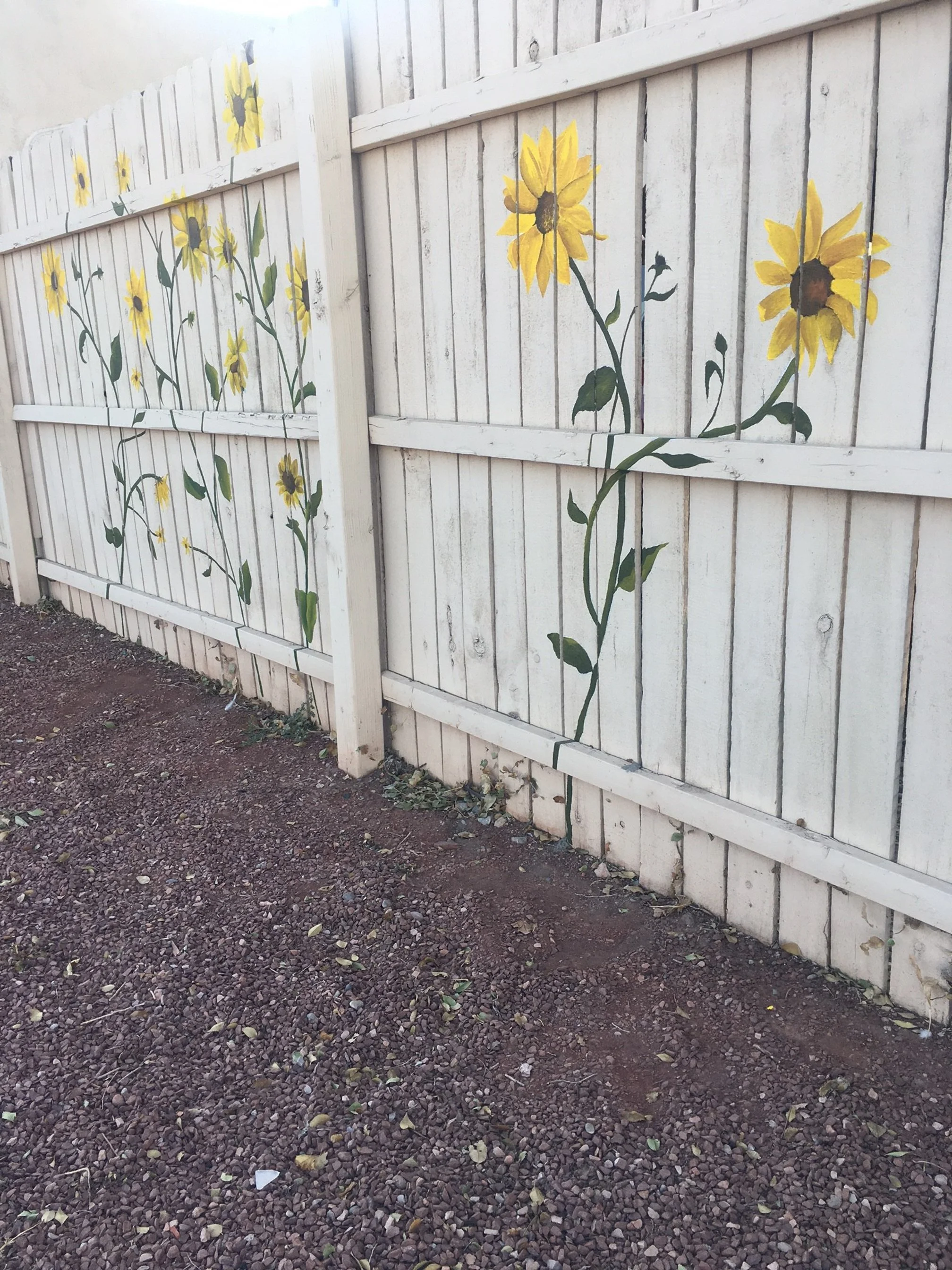 12th @ Mountain fence close up.jpg