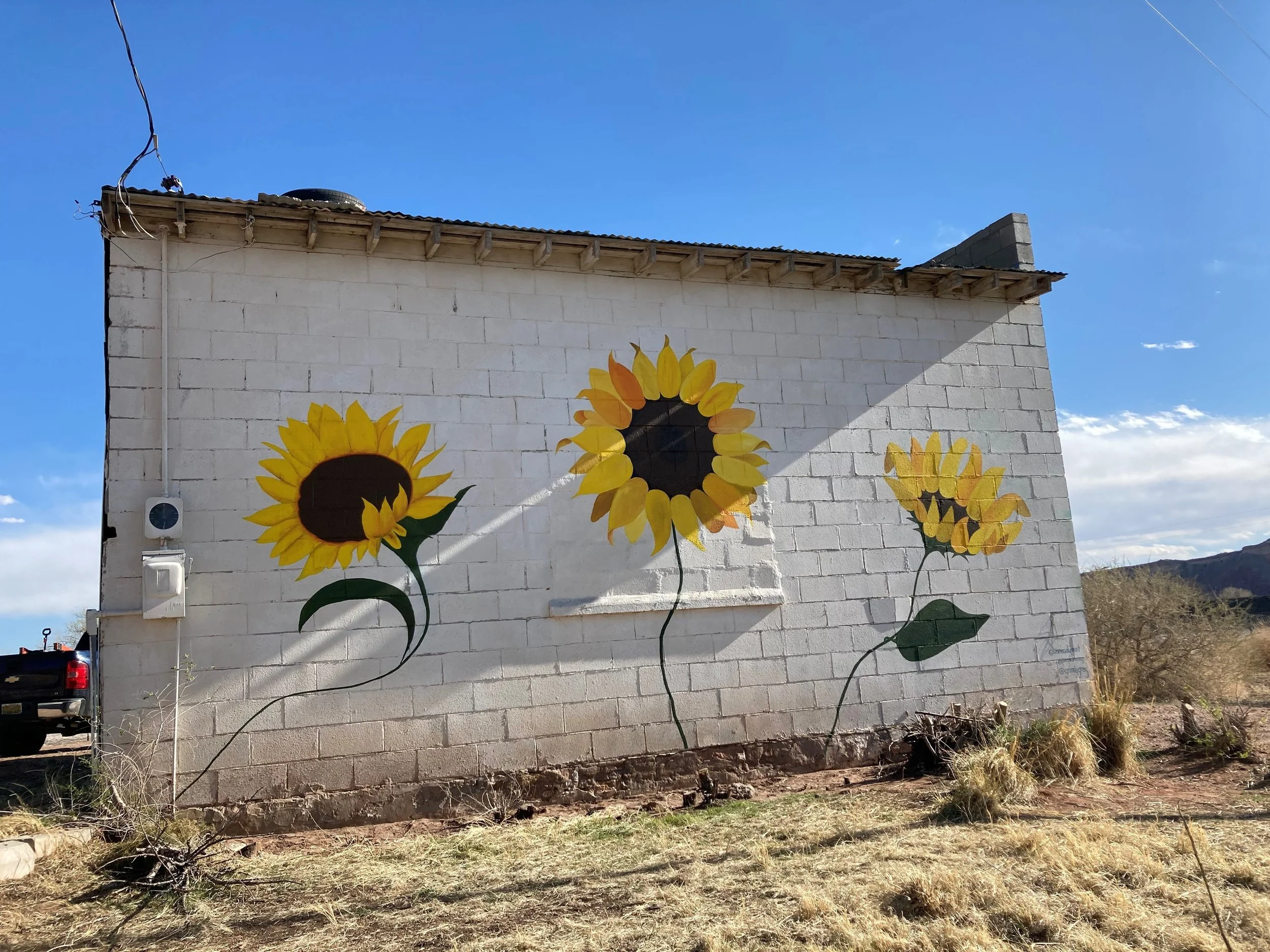 San Isidro Sunflowers.jpg
