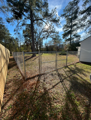 A fenced backyard with trees and a white shed, with shadows cast on the ground.