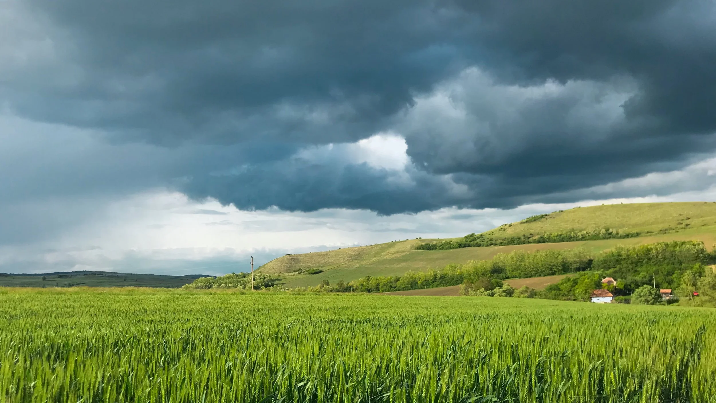 Why We Can No Longer Afford to Hide in History’s Cellar: If You’re Not at the Table, You’re on the Menu