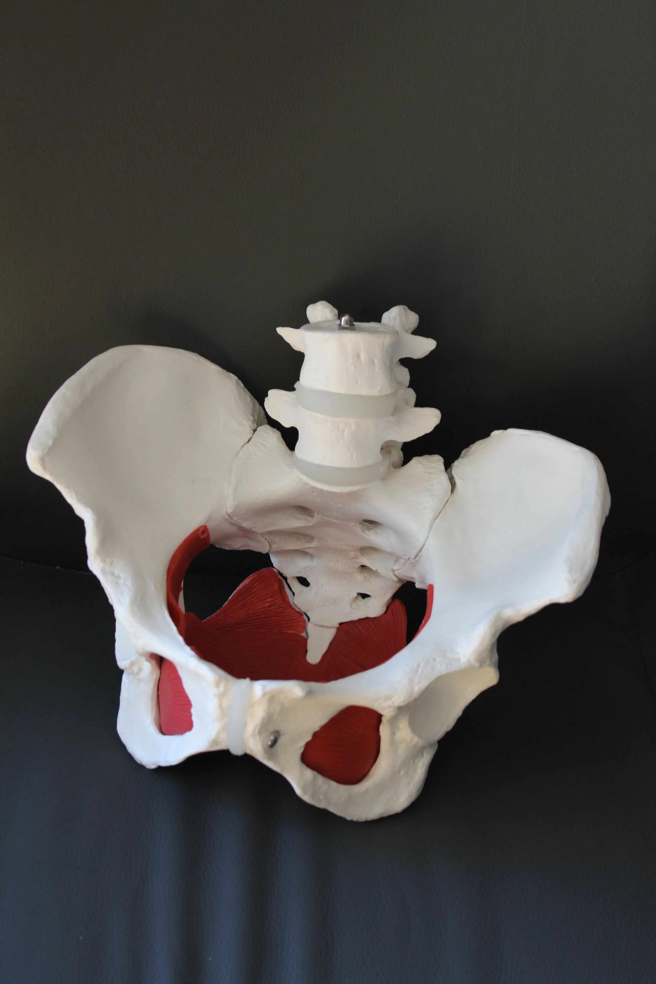Pelvic Floor: Not Just a Women’s Issue
