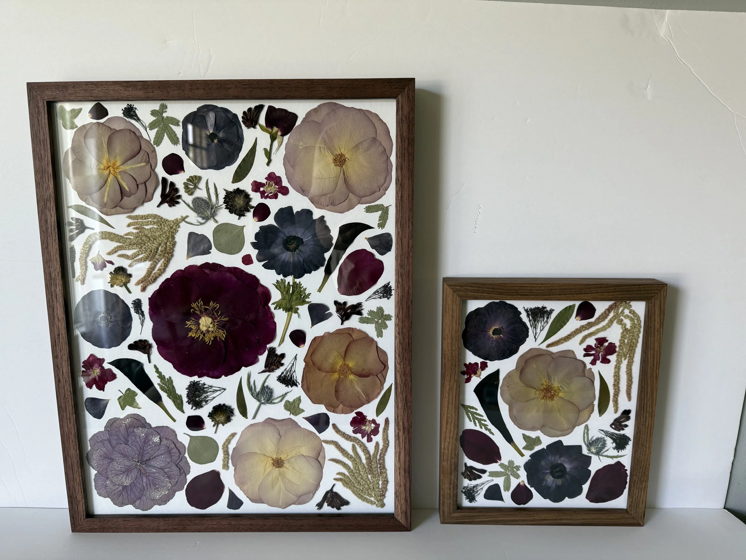 8x10 Add-on Scattered Matted Walnut.jpeg