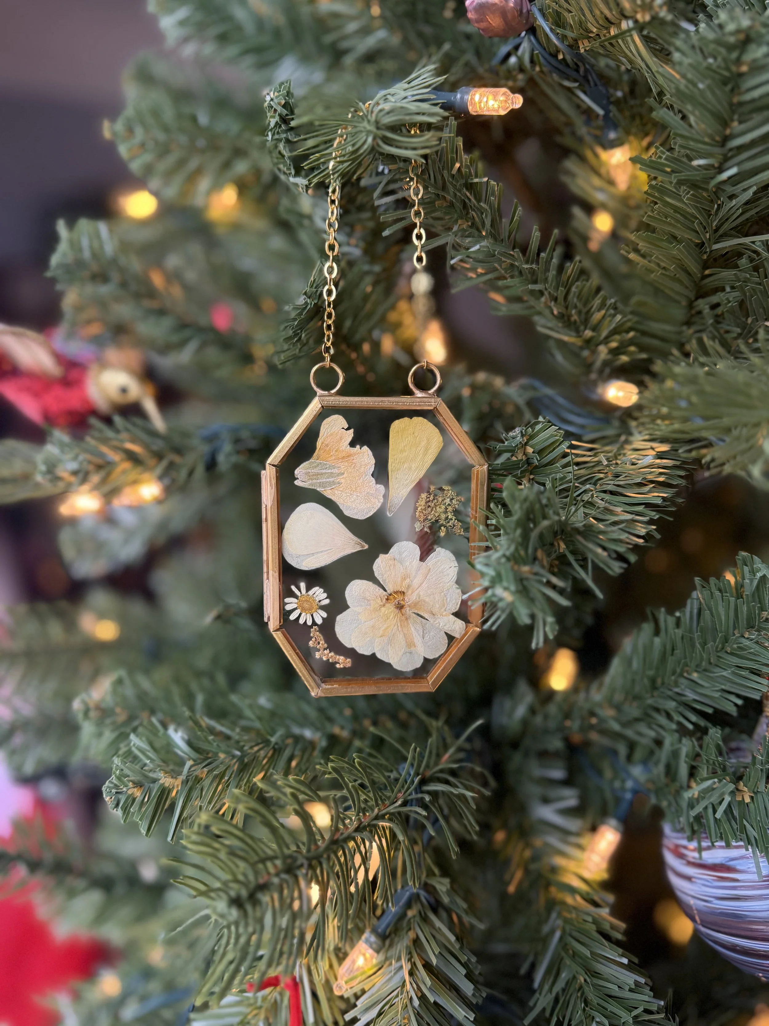 Ornaments Scattered 6.jpeg