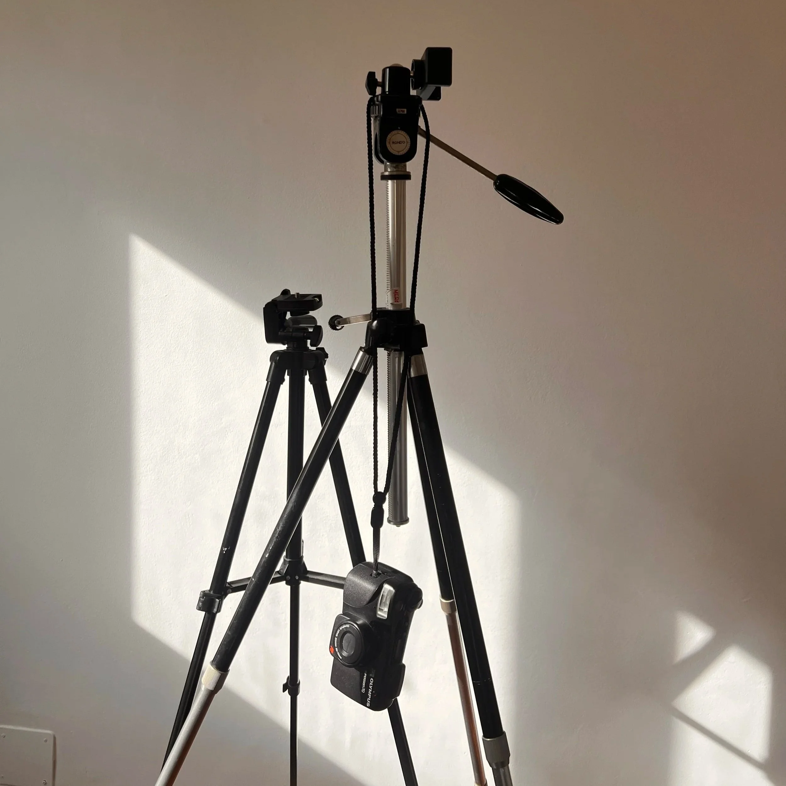 tripods for photo shoot