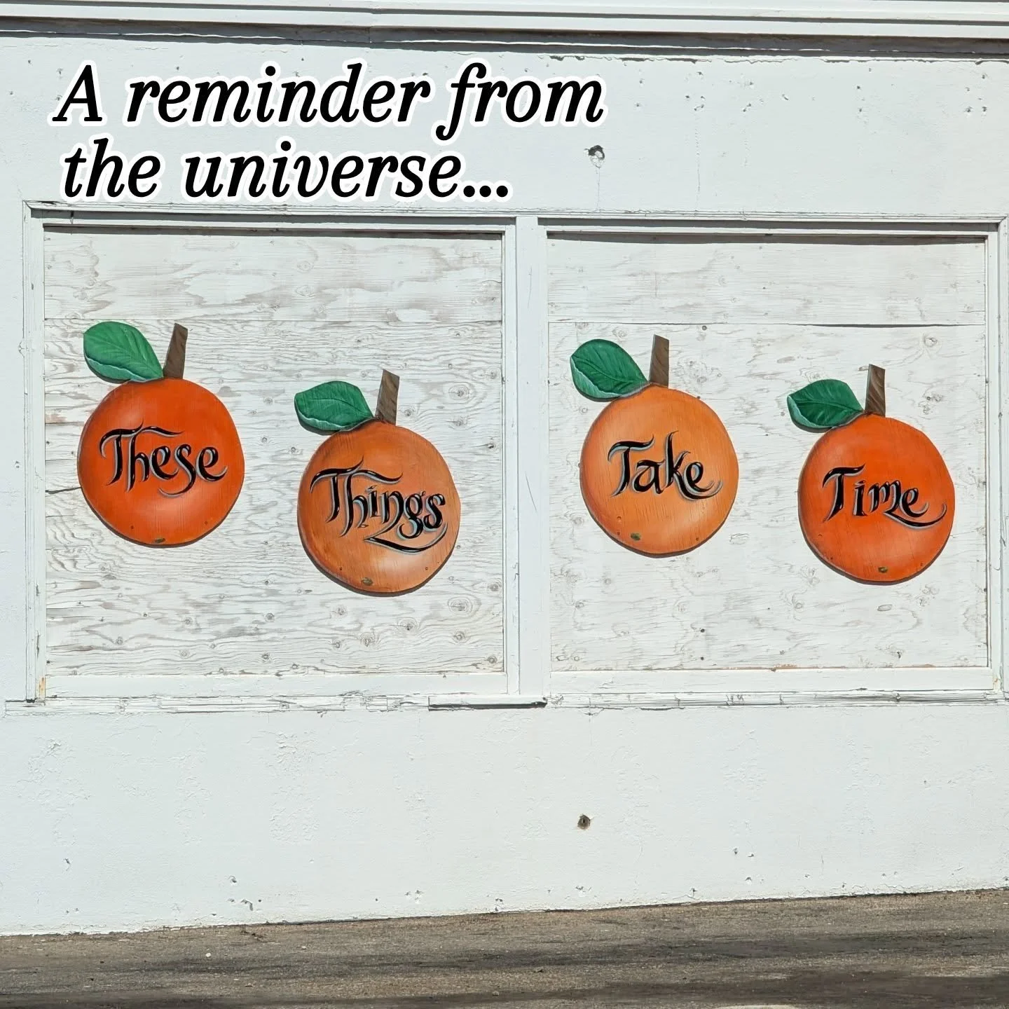 ​I was out in the wild recently, caught in my own head and worrying about being "behind." Behind on my goals, behind on my schedule, behind on... everything.

Then I turned the corner and saw this:

These Things Take Time.

​Today, with a s