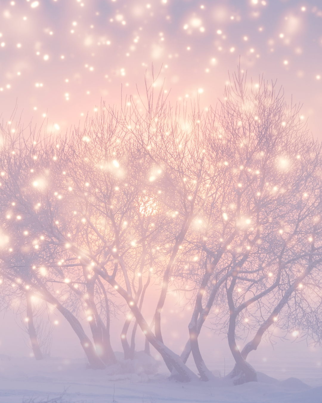 Yule/Winter Solstice Party