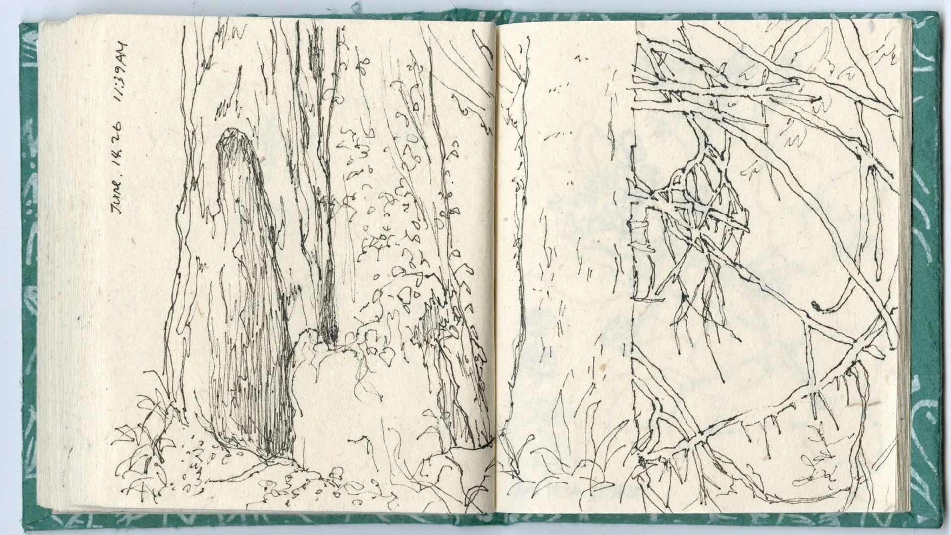 sketch4.jpg