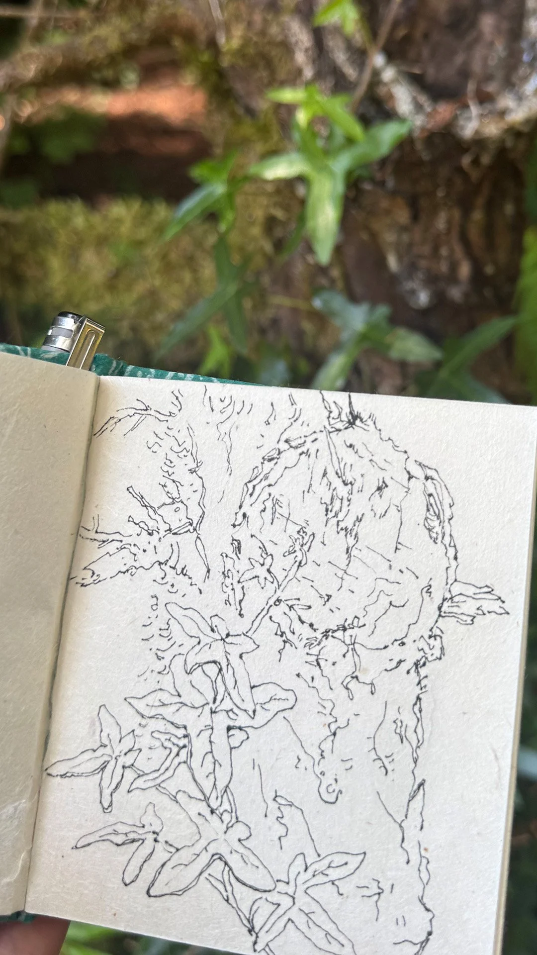 sketch2.jpg