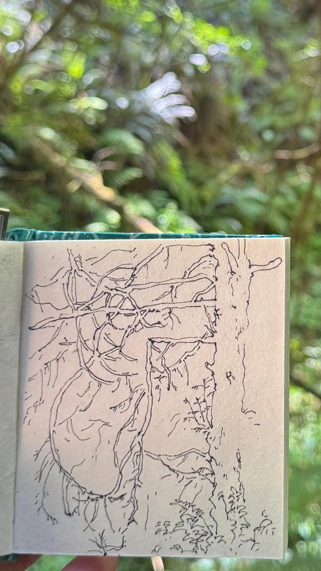 sketch1.jpg