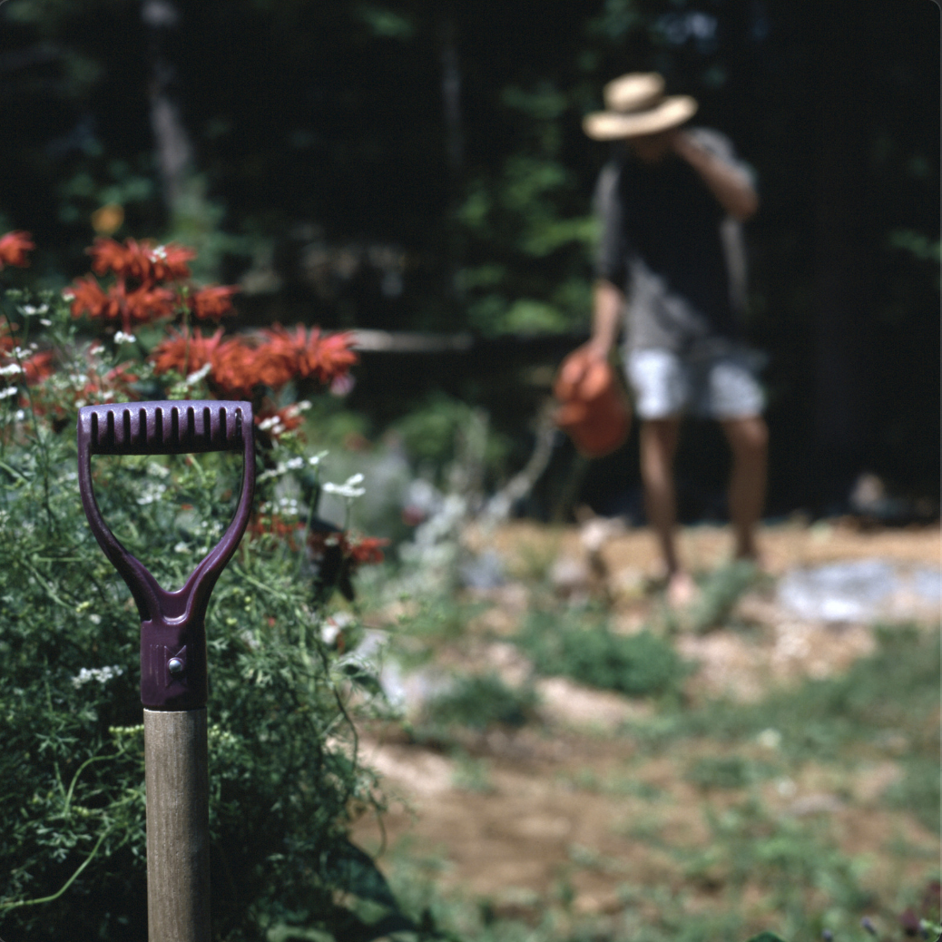 Our TradesWatch Service