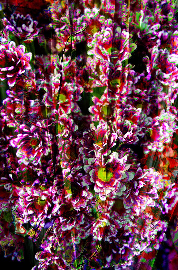 Foliage_50