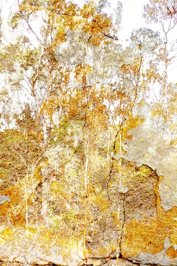 Landscape_17