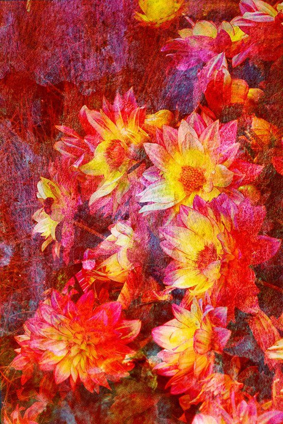 Flora_211