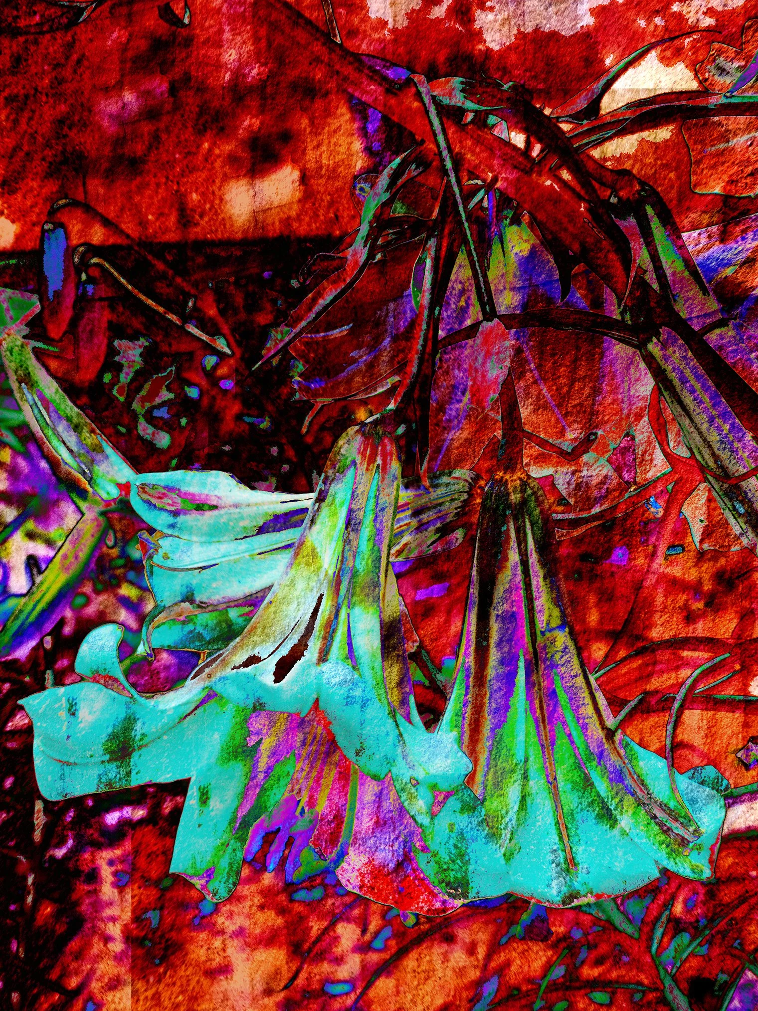 Flora_108