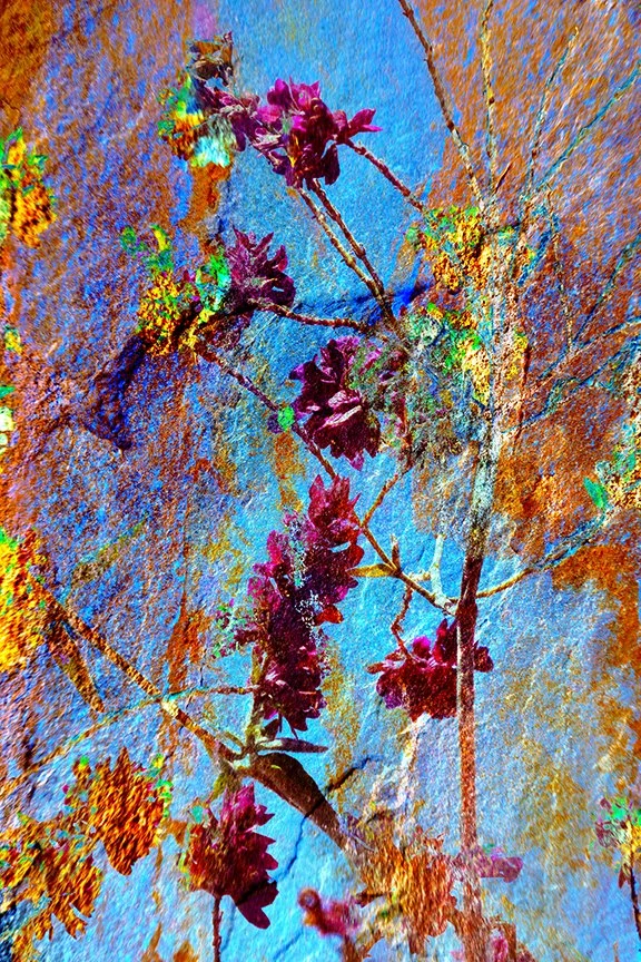 Flora_120