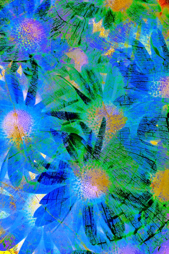 Flora_150