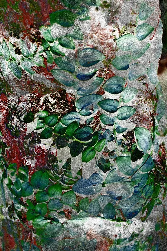 Foliage_131