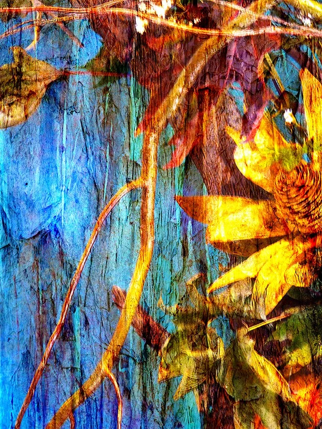 Foliage_181