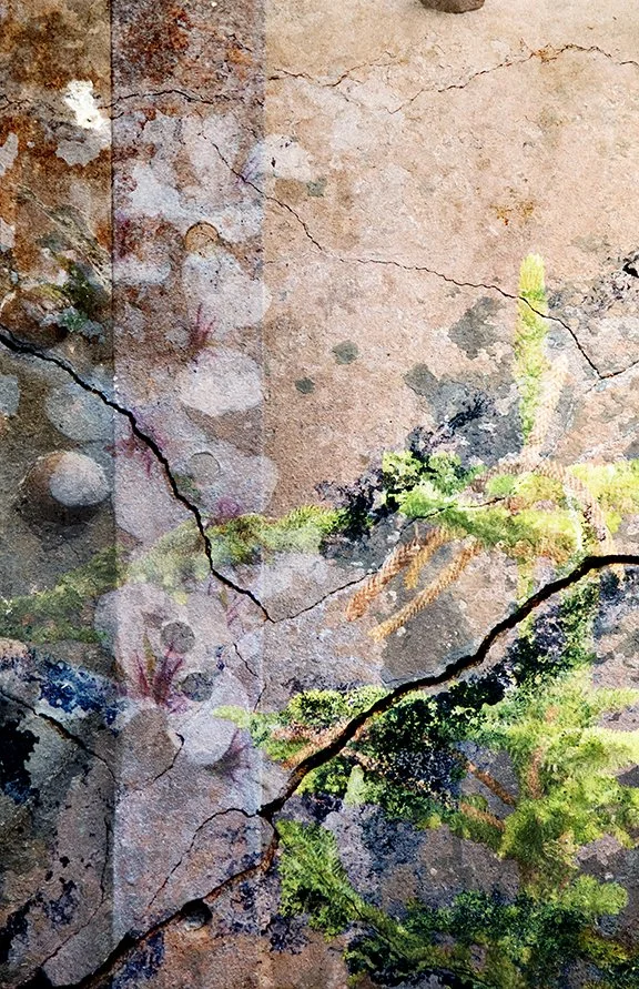 Foliage_105
