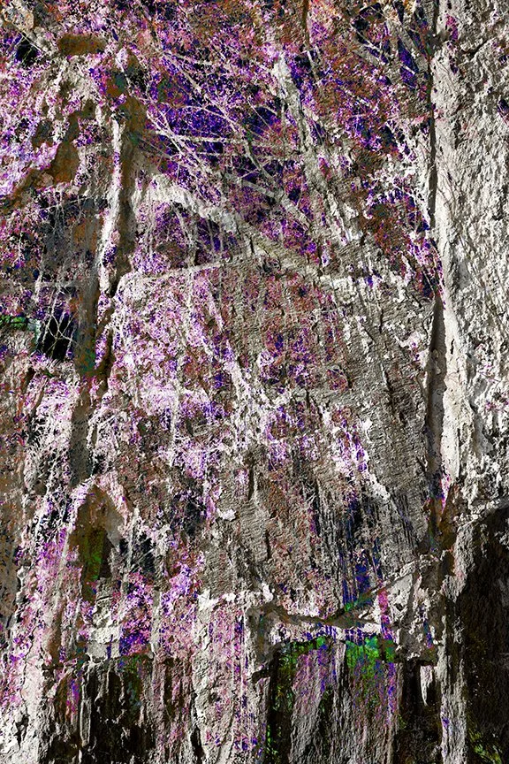 Landscape_109
