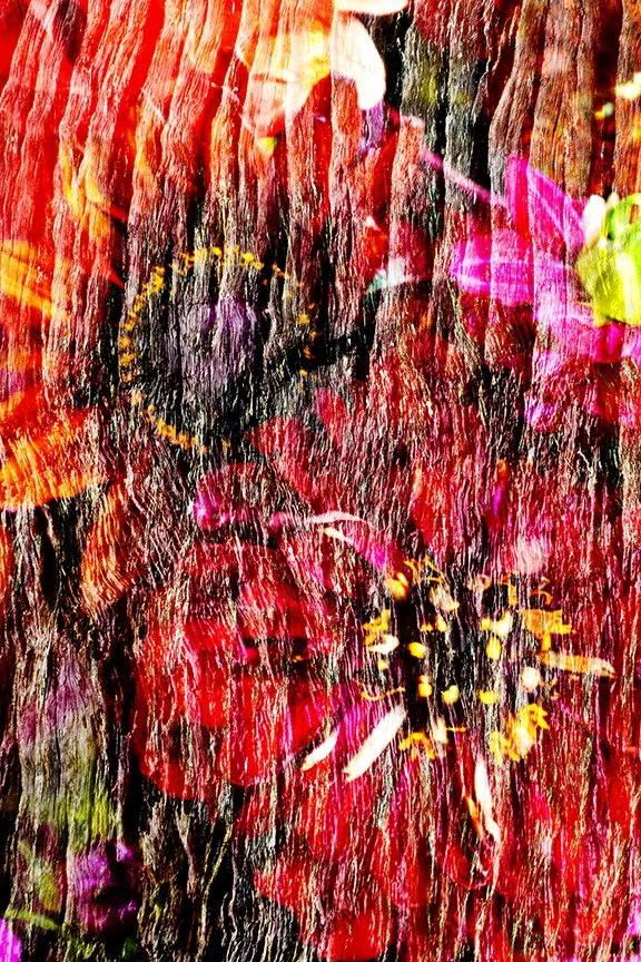 Flora_234