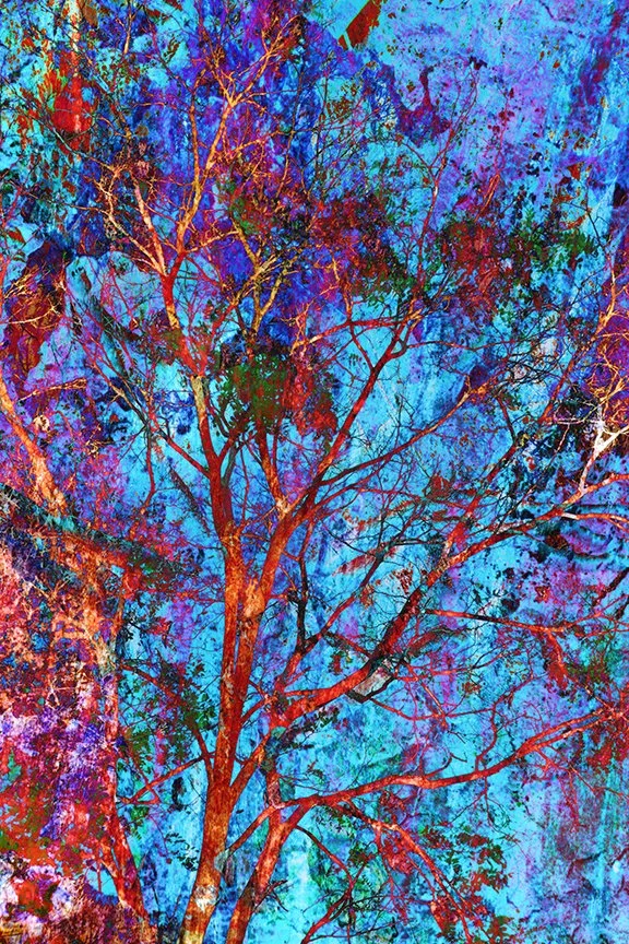 Foliage_84