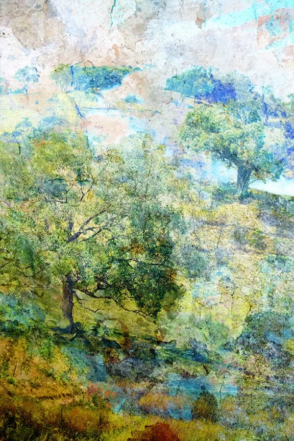 Landscape_34