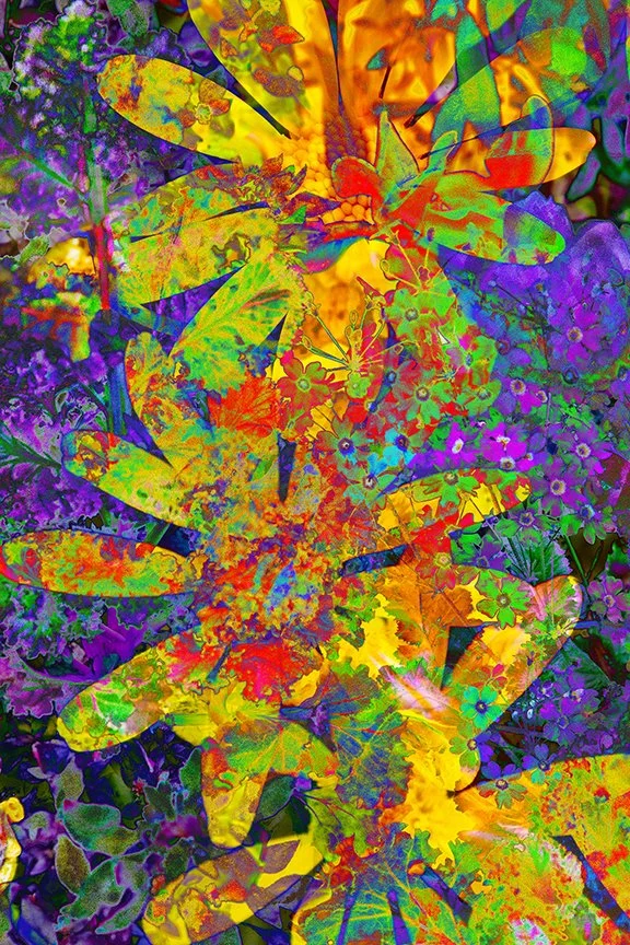Flora_59