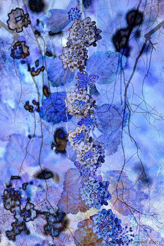 Flora_04