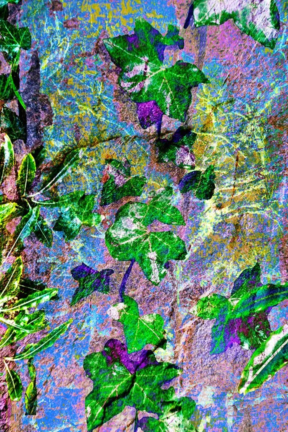 Foliage_90