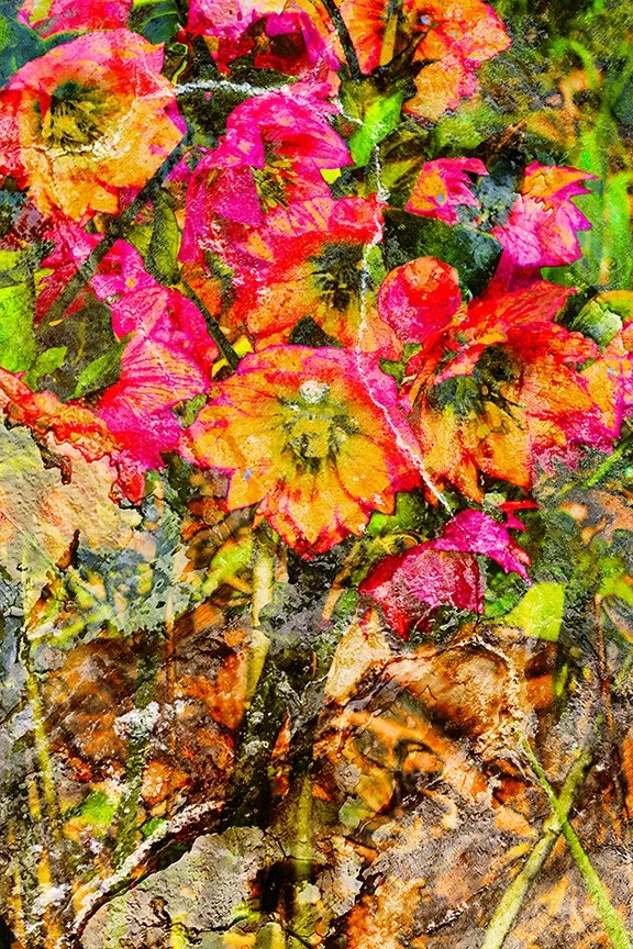 Flora_202