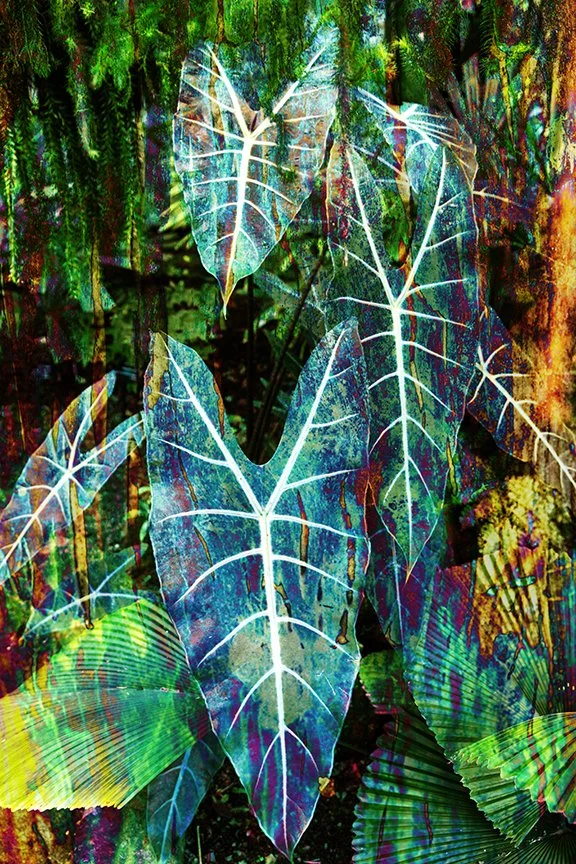 Foliage_145