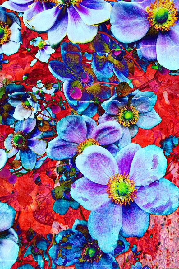 Flora_261